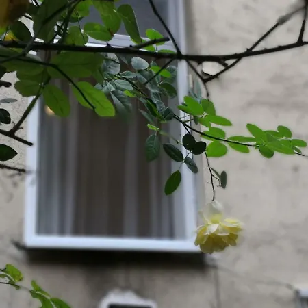 Appartement Diamond - Bimbam Bajza *